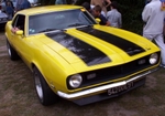 Mustang Jaune