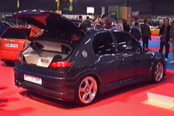 306 Scarabée