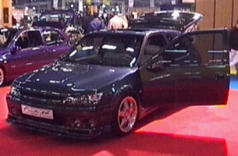 306 Scarabée