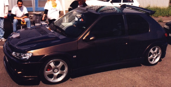 306 Scarabée
